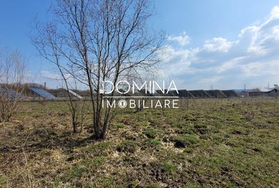 Teren Construcții intravilan de 978 mp, în Drăguțești - 9