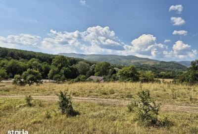 Teren de 13000 mp, în Runcu