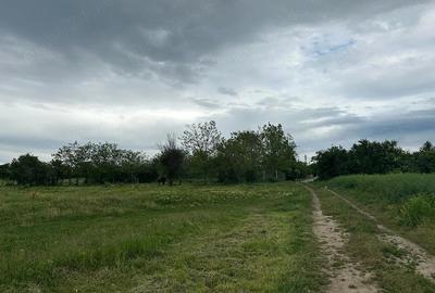 Teren de 11300 mp, în Balta Doamnei - 6