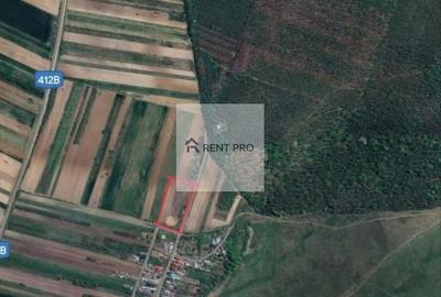 Teren agricol extravilan de 11000 mp, în Neajlovu - 9