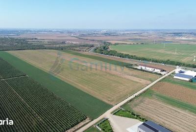 Teren de 66400 mp, în Central - 14