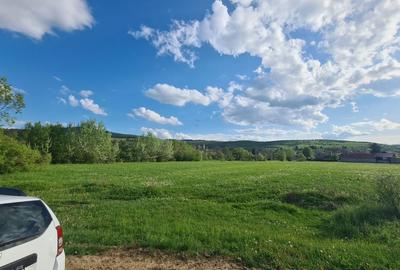 Teren de 800 mp, în Cărpiniș - 9