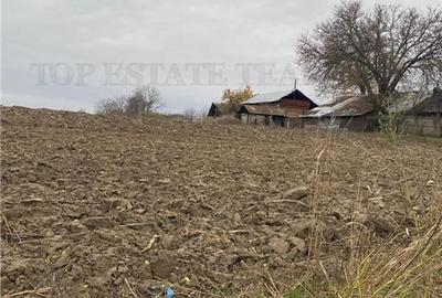 Teren Construcții intravilan de 12223 mp, în Berceni - 2