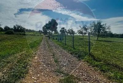 Teren în Șișești