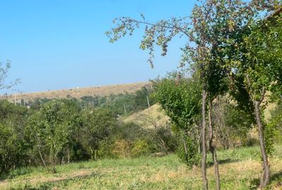 Teren Construcții intravilan de 1486 mp, în Valea Mare