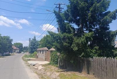 Casă cu 2 camere cu Teren 2000 Mp în Potlogi - 1