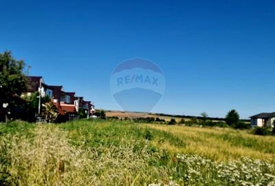 Teren Construcții intravilan de 3538 mp, în 1 Mai - 5