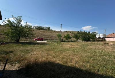 Teren de 3664 mp, în Exterior Vest - 7