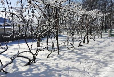Casă cu 4 camere în Călinești - 4