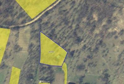 Teren faneata Vizantea Livezi , ID: R2800612 - 2