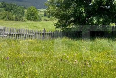 Teren de 1346 mp, în Colibița - 3