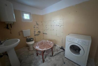 Casă individuală cu 2 camere cu Canalizare în Crivina - 11