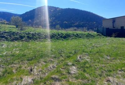 Teren agricol extravilan de 1500 mp, în Poplaca - 2