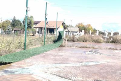 Gagu Dascalu teren ideal pentru investitie zona in dezvol... - 2