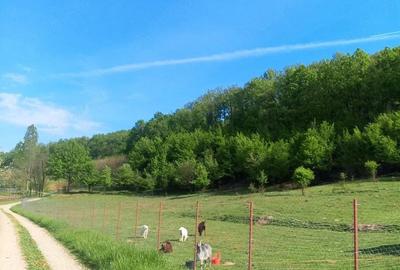 Teren de 5500 mp, în Drăganu