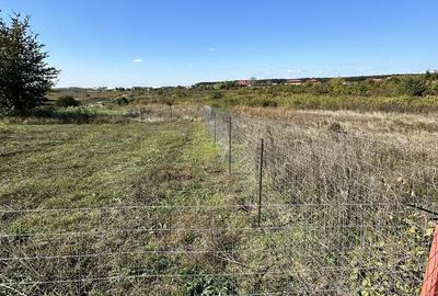 Teren de 624 mp, în Mogoșoaia - 3