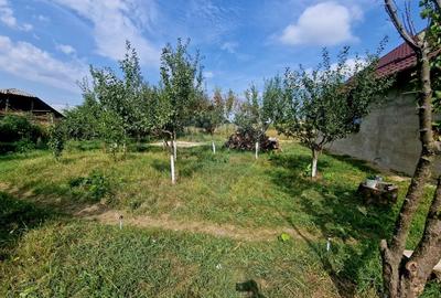 Oaza de liniste: casa cu livada si teren generos - Girov - 53