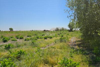 Teren agricol extravilan de 10900 mp, în Băleni-Sârbi - 3