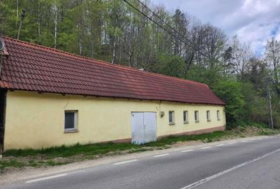 Casă cu 3 camere în Văliug - 1