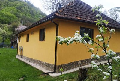 Casă cu 3 camere în Hărțăgani - 3