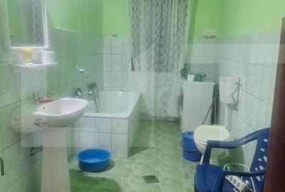 Casă cu 4 camere cu Teren 3500 Mp în Criciova - 7