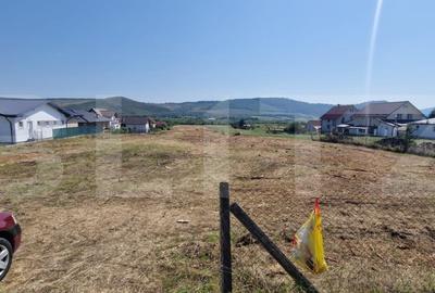 Teren de vanzare 1Ha si 42 Ari, zona Viisoara - 1