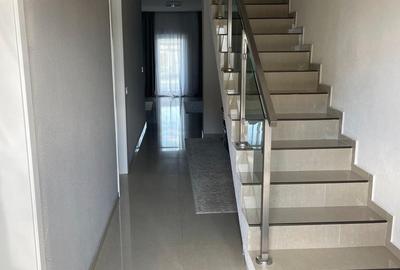 Vand duplex lipovei britis scholl aradului - 2