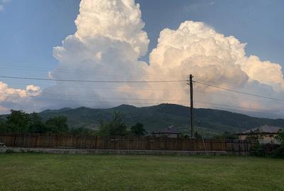 Teren de 360000 mp, în Sibiciu de Sus - 2