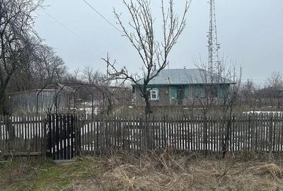 Casă cu Teren 2400 Mp în Toporu - 6