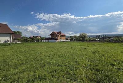 Teren de 500 mp, în Budeasa - 5