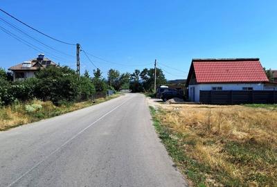 TEREN INTRAVILAN ȘI EXTRAVILAN TURCINEȘTI - 4