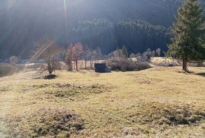 Teren Construcții intravilan de 17707 mp, în Grințieș - 2