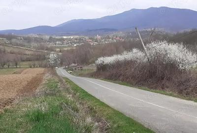 Casă cu 5 camere în Dezna - 2