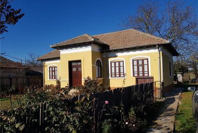 Casă cu 2 camere în Giurgița - 10