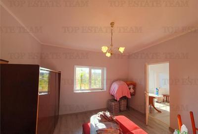 Casă cu 6 camere cu Teren 5470 Mp în Pantelimon - 8