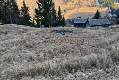 Teren de 10782 mp, în Exterior Vest - 2