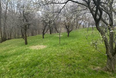 Spațiu comercial, în Central