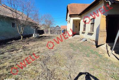 Casă cu 3 camere cu Teren 2407 Mp în Peteni - 12