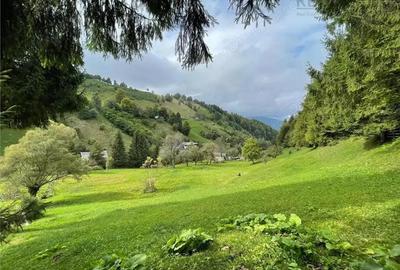 Teren de 4600 mp, în Șimon - 4