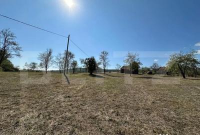 Teren de 14000 mp, în Vințu de Jos - 3