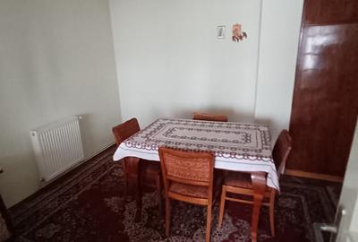 Vila deosebita in zona Cantacuzino - 13