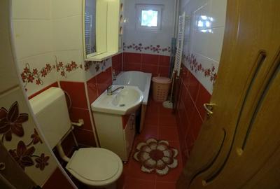 Apartament cu 2 camere semidecomandat în Craiovei - 8