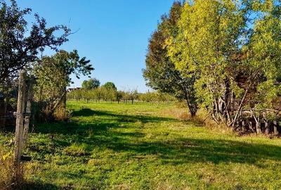 Casa si teren de vanzare (6000 mp) - 7