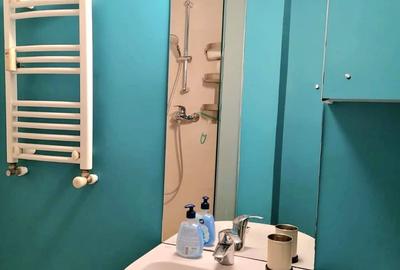 Garsoniera impecapila - ultracentral - unirii DB1318 - 6