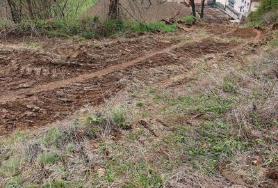 Teren de 8700 mp, în Gornea - 3