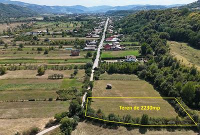 Teren Construcții extravilan de 2230 mp, în Dărmăneasca - 1