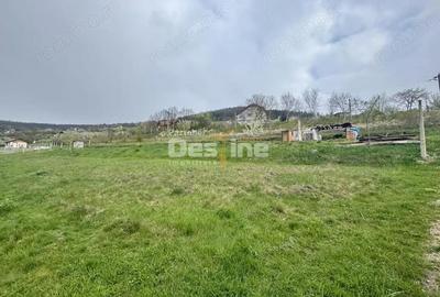 Teren de 950 mp, în Central