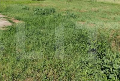 Teren de 1200 mp, în Central - 2