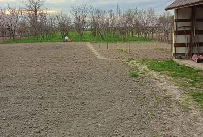 Casă cu 2 camere în Cermei - 7