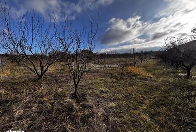 Spațiu comercial, în Central - 2
